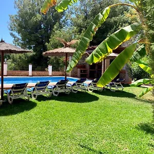 Pelae Frigiliana